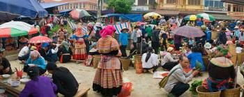 Tourists are enjoying Sapa trekking and Bac Ha Market - TL217